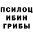 Галлюциногенные грибы GOLDEN TEACHER LeBeautiful James