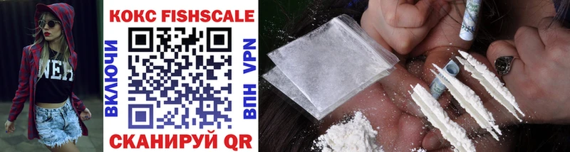 Cocaine FishScale  Купить закладки  Мегион 