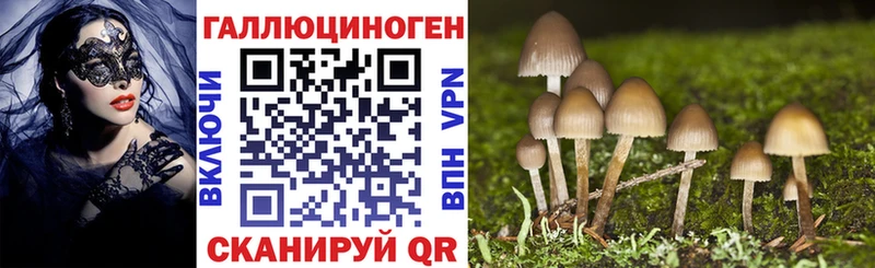 Купить где  Мегион  Псилоцибиновые грибы Cubensis 